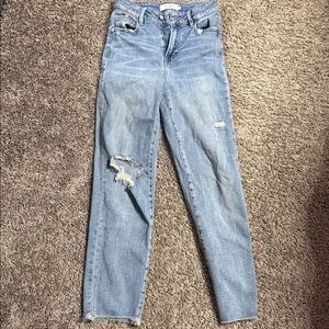 Hidden Distressed Straight Leg